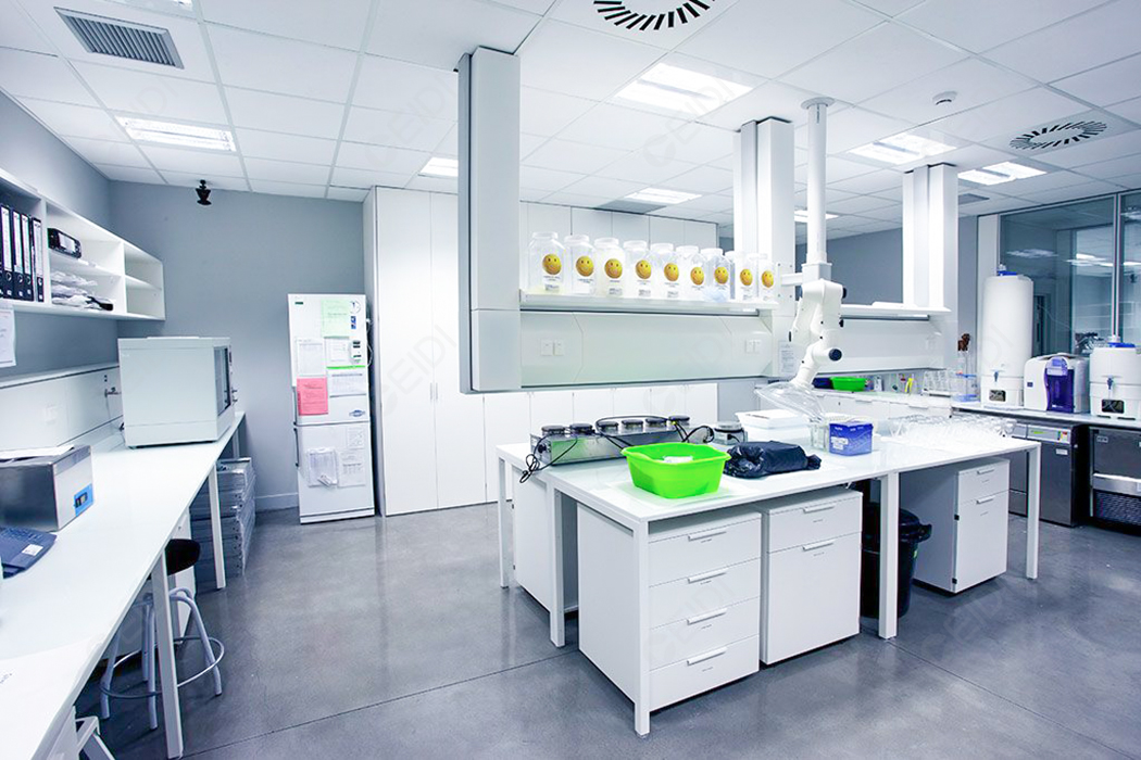 國家藥監(jiān)局關(guān)于發(fā)布《化妝品安全風險監(jiān)測與評價管理辦法》的公告（2025年第37號）